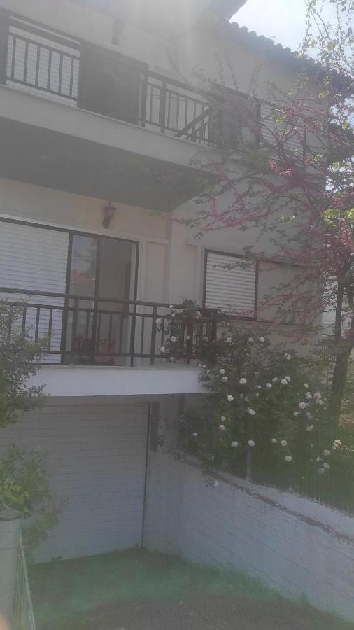ペフコホリIrisアパートメント 部屋 写真